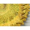 Tuscan ND Dolfi 26” Sunflower Wall Art - Image 3