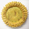 Tuscan ND Dolfi 26” Sunflower Wall Art